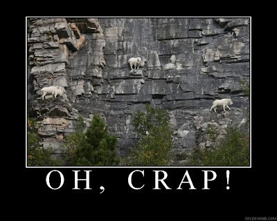 Banana Winds: January 2009